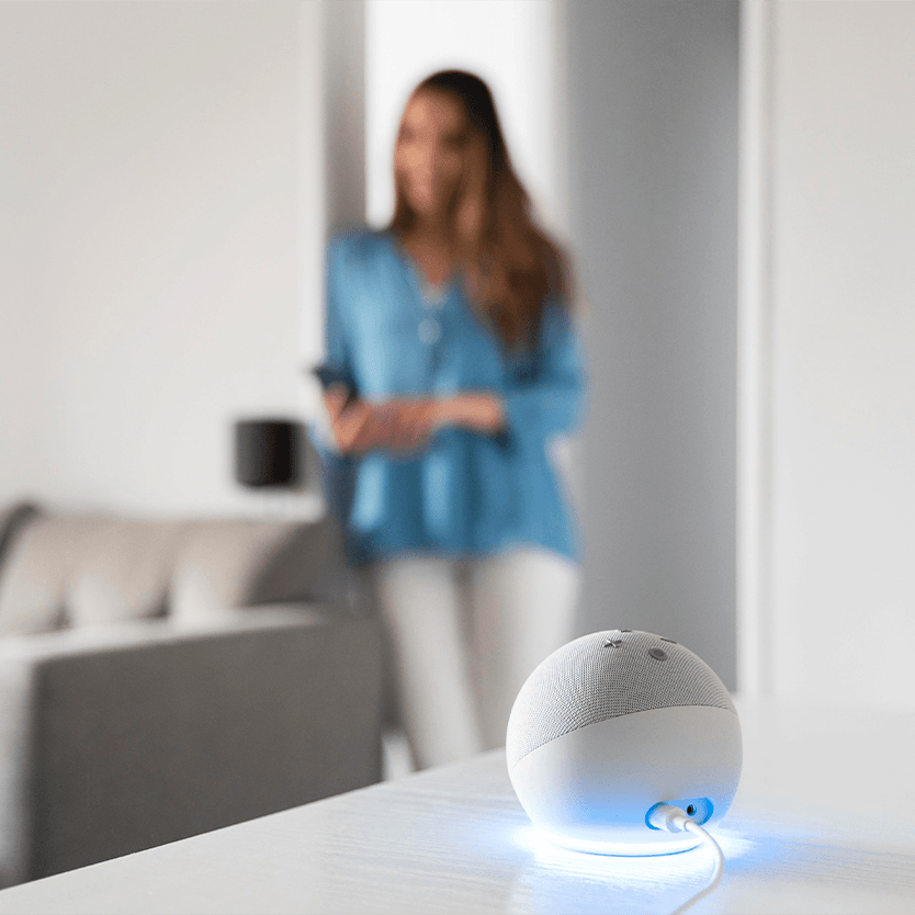 Smart Speaker Assistent