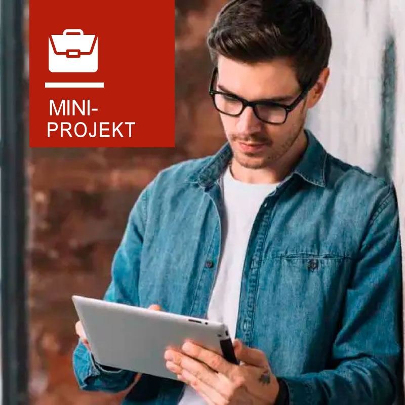 miniprojekt_eab