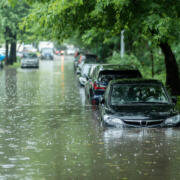 Nicht nur sauber, sondern rein - Trinkwasser in Simba-Simulation