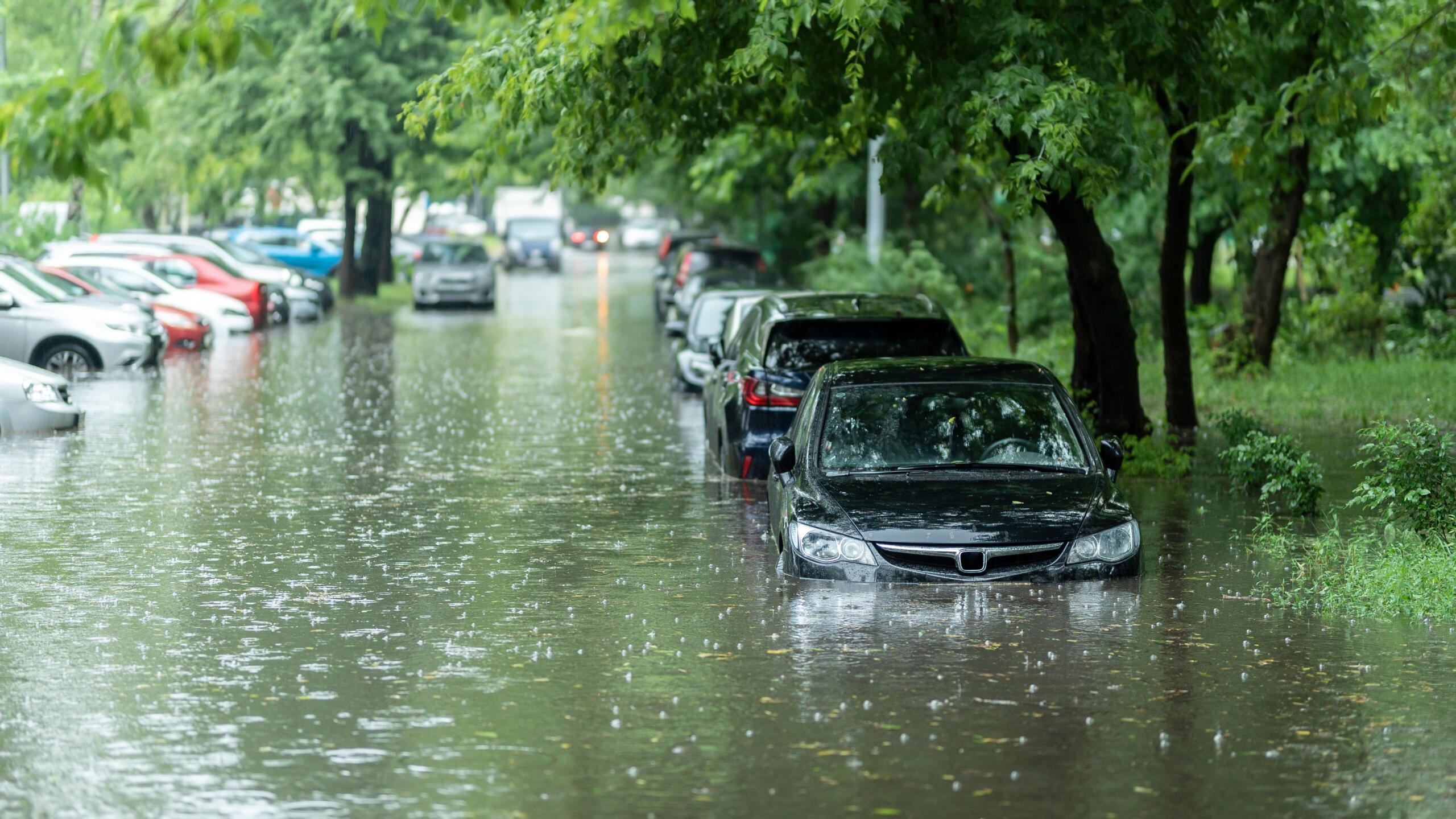 Nicht nur sauber, sondern rein - Trinkwasser in Simba-Simulation